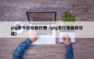 pig币今日价格行情（pig币行情最新价格）