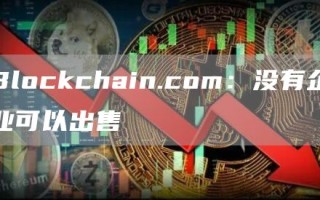 Blockchain.com：没有企业可以出售