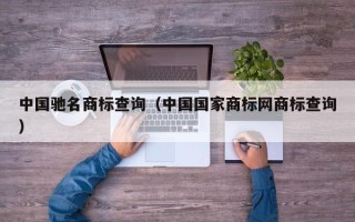 中国驰名商标查询（中国国家商标网商标查询）