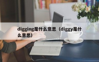 digging是什么意思（diggy是什么意思）