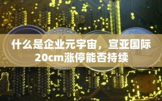 什么是企业元宇宙，宣亚国际20cm涨停能否持续