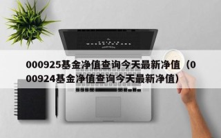 000925基金净值查询今天最新净值（000924基金净值查询今天最新净值）