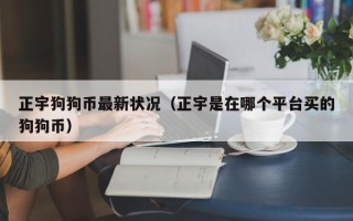 正宇狗狗币最新状况（正宇是在哪个平台买的狗狗币）