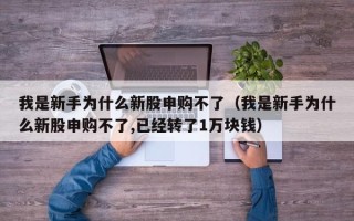 我是新手为什么新股申购不了（我是新手为什么新股申购不了,已经转了1万块钱）