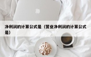 净利润的计算公式是（营业净利润的计算公式是）