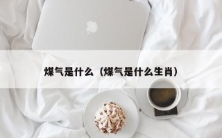 煤气是什么（煤气是什么生肖）