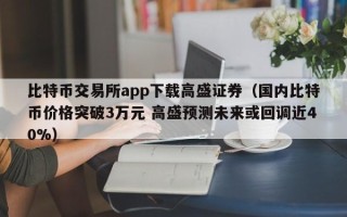 比特币交易所app下载高盛证券（国内比特币价格突破3万元 高盛预测未来或回调近40%）