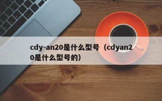 cdy-an20是什么型号（cdyan20是什么型号的）