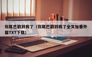 你尾巴戳到我了（你尾巴戳到我了全文加番外篇TXT下载）