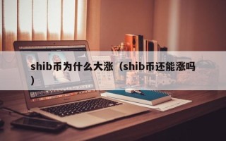 shib币为什么大涨（shib币还能涨吗）