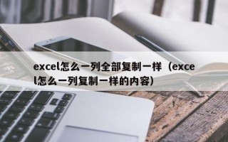 excel怎么一列全部复制一样（excel怎么一列复制一样的内容）