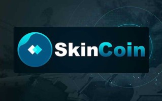 SKIN币发行价多少？SKIN币发行价格分析