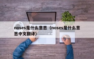 noses是什么意思（noses是什么意思中文翻译）