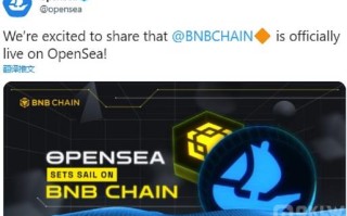 OpenSea已支持基于BNB&nbsp;Chain的NFT 交易所app下载