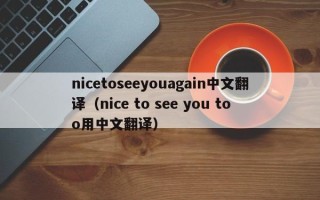 nicetoseeyouagain中文翻译（nice to see you too用中文翻译）