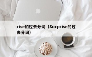 rise的过去分词（Surprise的过去分词）