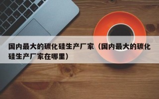 国内最大的碳化硅生产厂家（国内最大的碳化硅生产厂家在哪里）