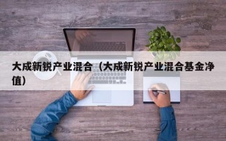 大成新锐产业混合（大成新锐产业混合基金净值）