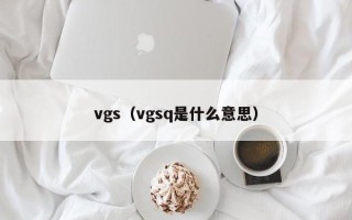 vgs（vgsq是什么意思）