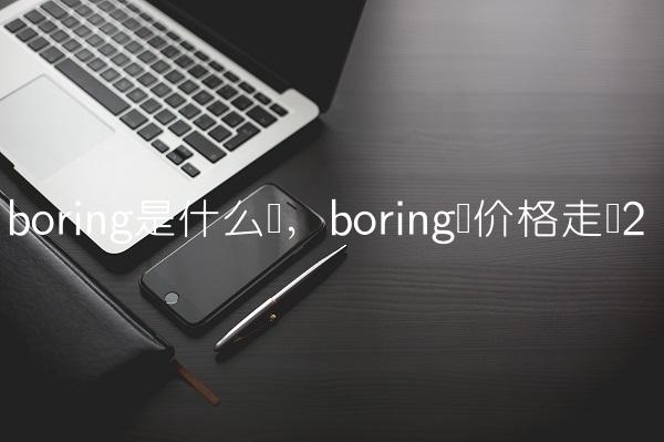 boring是什么币,boring币价格走势-第2张图片-昕阳网