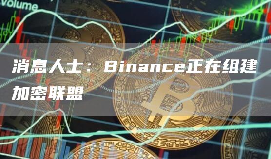 消息人士：Binance正在组建加密联盟-第1张图片-昕阳网