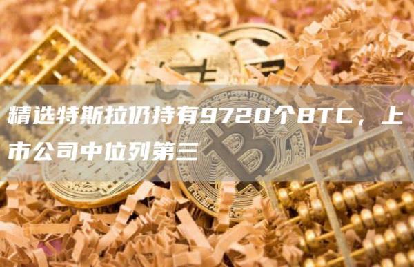 精选特斯拉仍持有9720个BTC，上市公司中位列第三-第1张图片-昕阳网