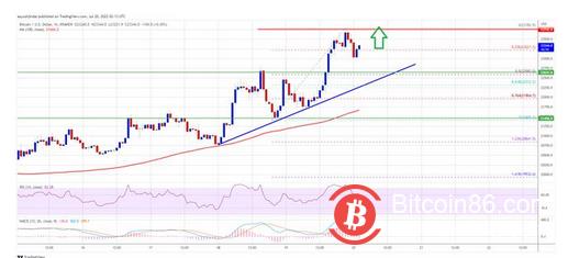 比特币上涨超过5% 价格飙升可能会超过 24,000 美元-第1张图片-昕阳网