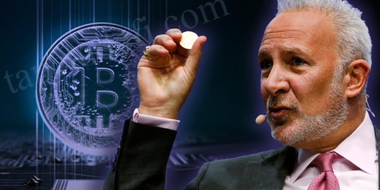 黄金多头Peter Schiff 比特币价格永远不会到10万美元-第1张图片-昕阳网