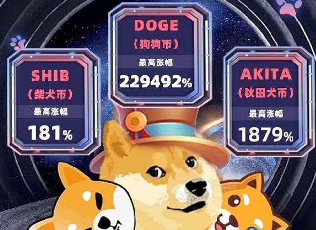 狗狗币柴犬币秋田犬币哪个更值得投资，2022-第1张图片-昕阳网