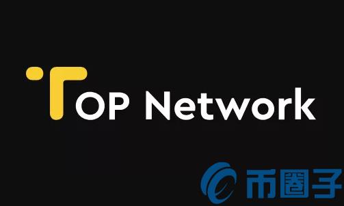 2022TOP NetworkTOP是什么公司，有什么价值TOP Network简述-第1张图片-昕阳网