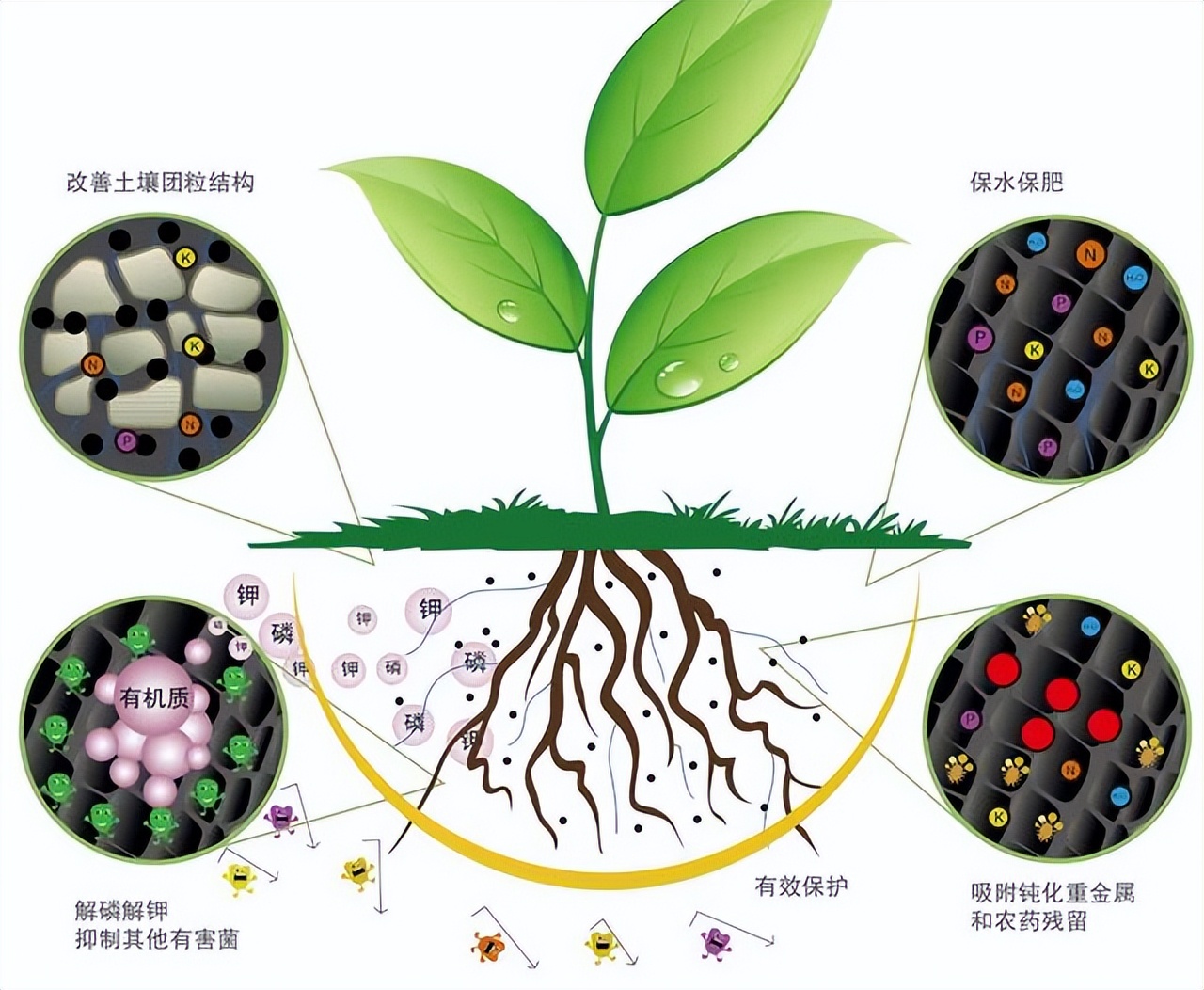 微生物肥料liao和化肥之间有什么关系xi（微生物化肥是什么意思）-悠嘻xi资讯网