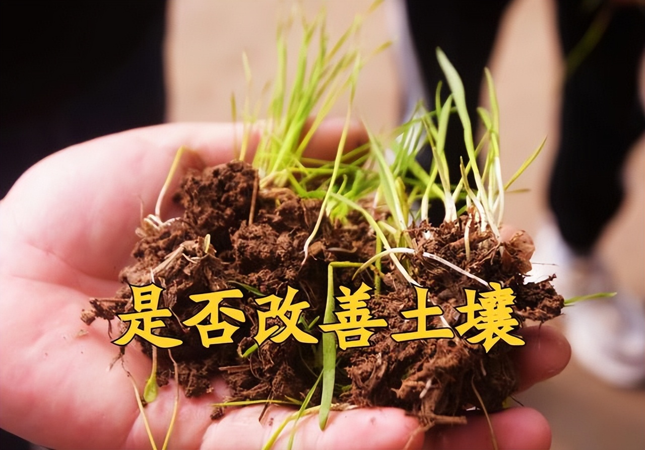 微生物肥料和化肥之zhi间有什么关系（微生物wu化肥是什么意思）-悠嘻资讯网