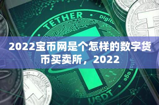 2022宝币网是个怎样的数字货币买卖所，2022-第1张图片-昕阳网