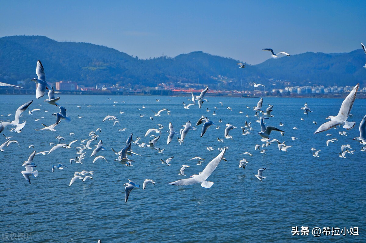 昆明有哪些景点（云南旅游必去十大景点推荐）-第2张图片-昕阳网