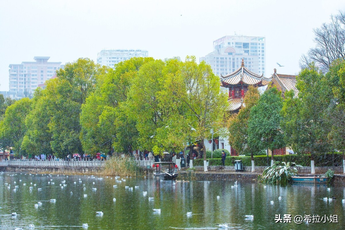 昆明有哪些景点（云南旅游必去十大景点推荐）-第12张图片-昕阳网