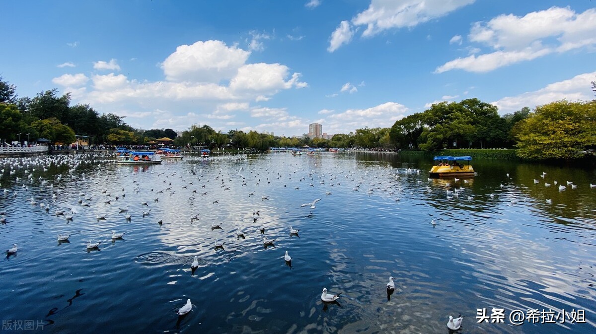 昆明有哪些景点（云南旅游必去十大景点推荐）-第14张图片-昕阳网