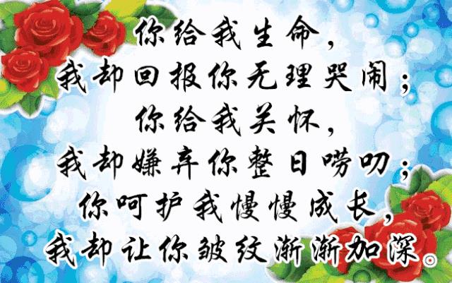 母亲节节日快乐（母亲节节日快乐祝福语）-第7张图片-昕阳网