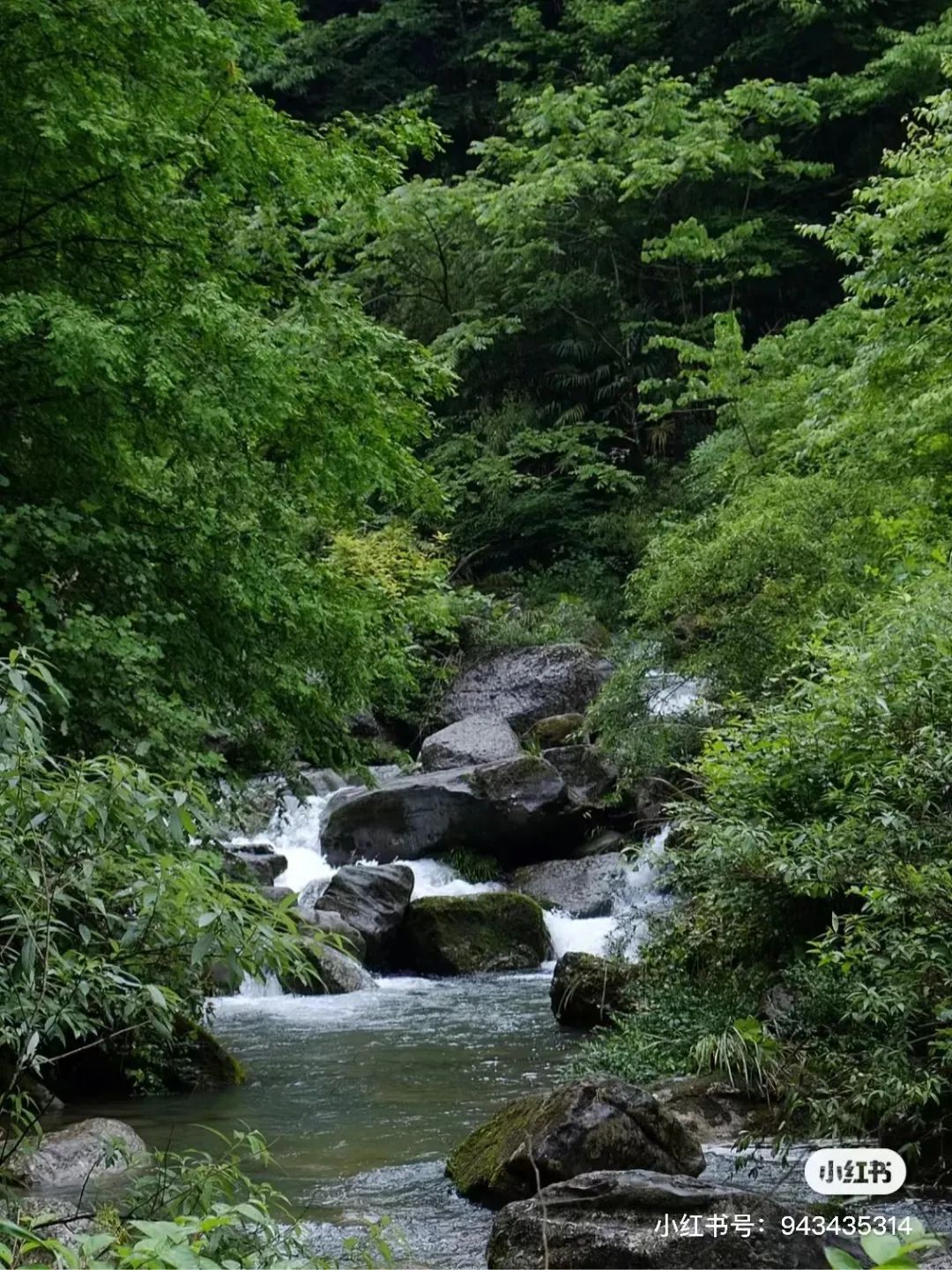 葛仙山旅游攻略（九仙山旅游攻略）-第6张图片-昕阳网