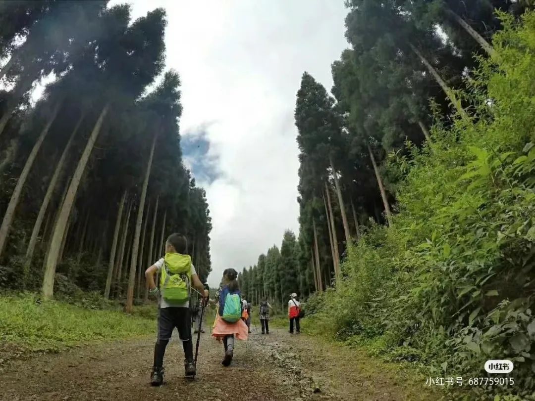 葛仙山旅游攻略（九仙山旅游攻略）-第22张图片-昕阳网