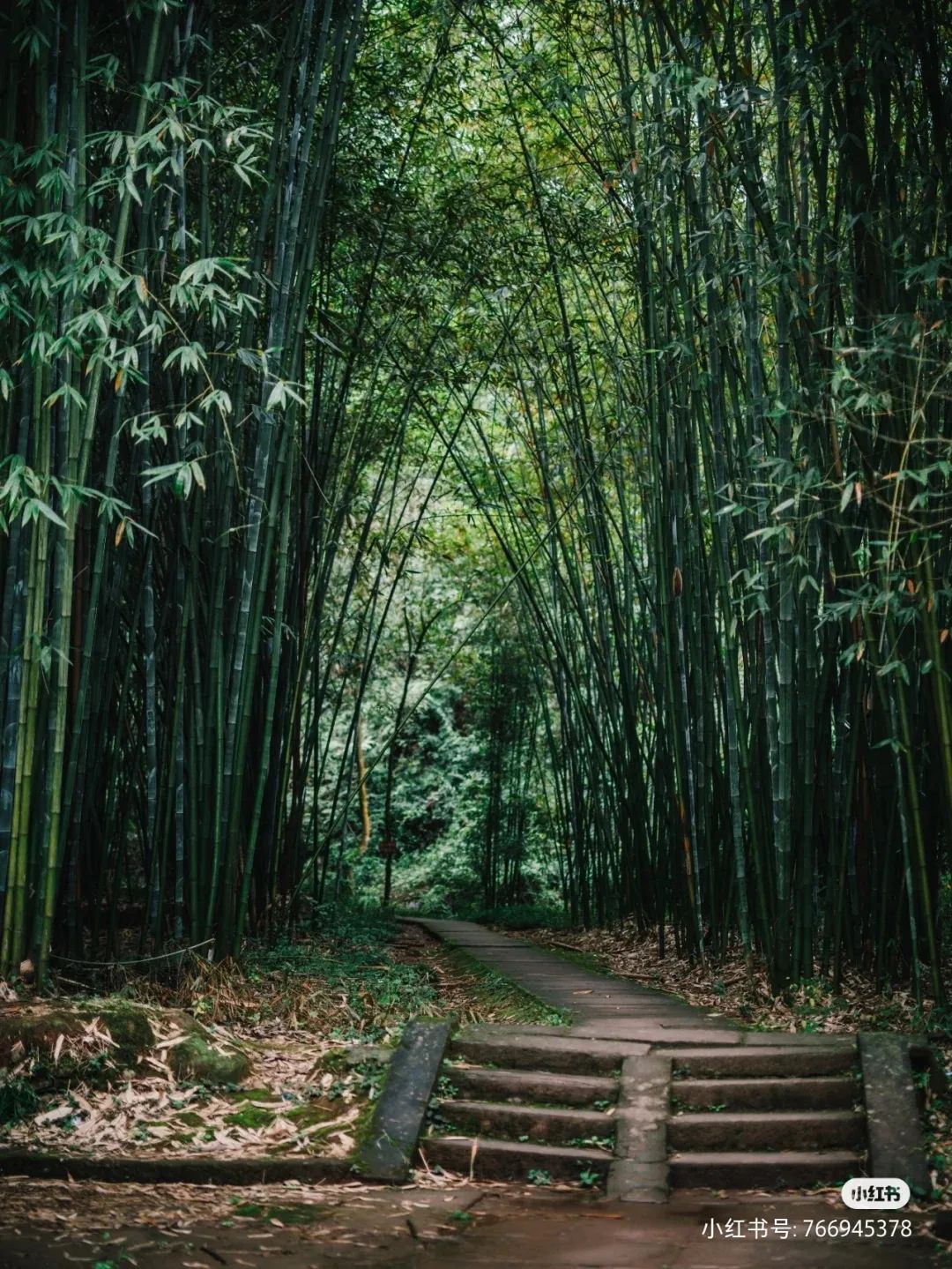 葛仙山旅游攻略（九仙山旅游攻略）-第31张图片-昕阳网