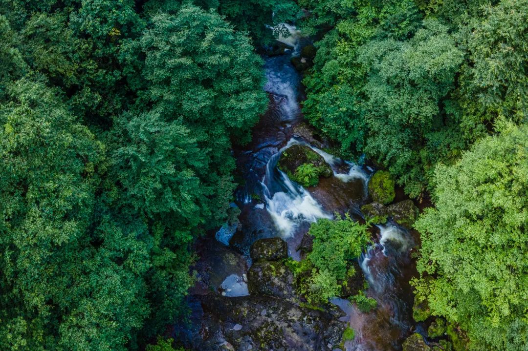 葛仙山旅游攻略（九仙山旅游攻略）-第42张图片-昕阳网