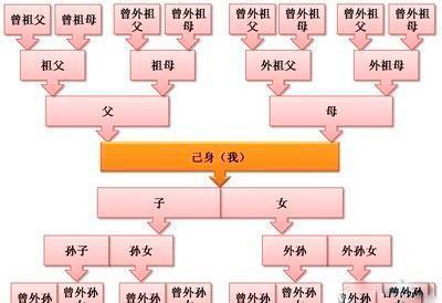 灭九族是哪九族（古代灭九族是哪九族）-第1张图片-昕阳网