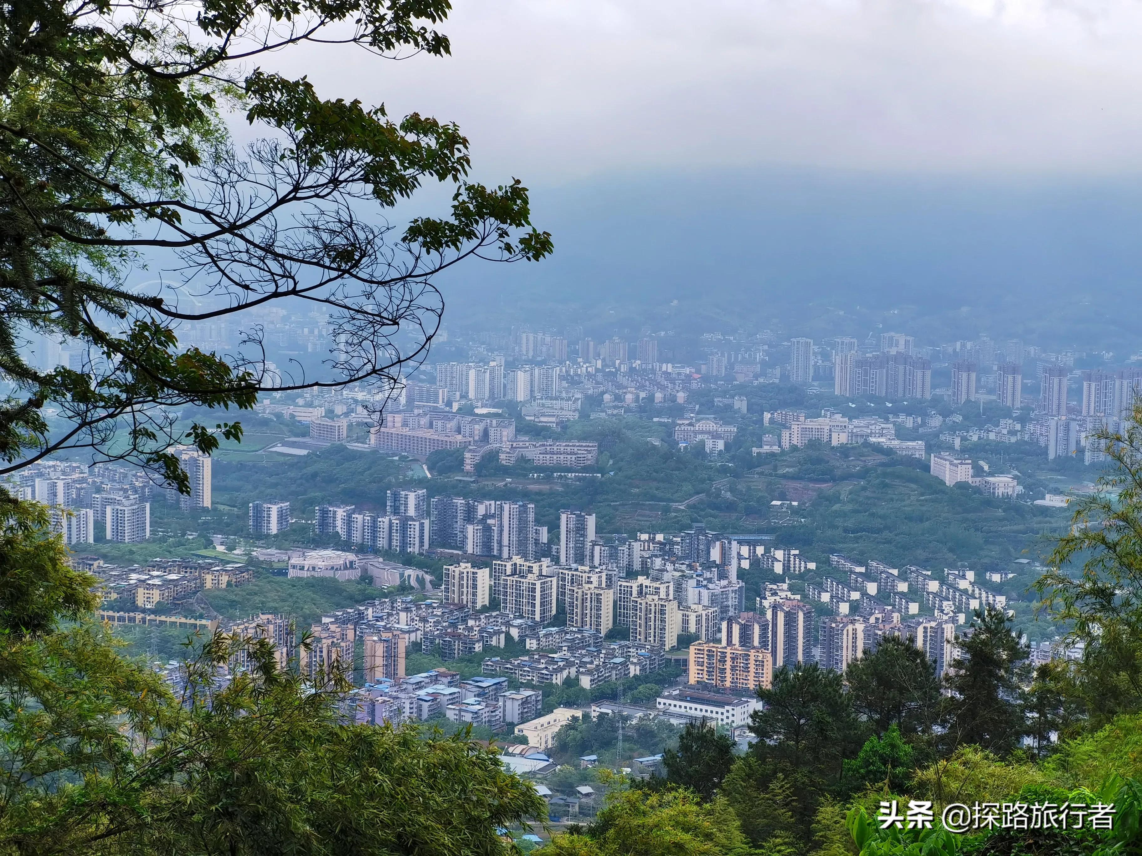 缙云山旅游攻略（缙云旅游攻略一日游自由行）-第31张图片-昕阳网