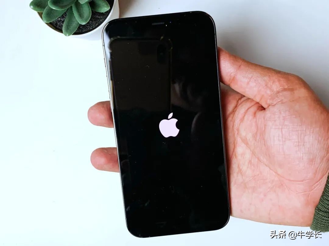 iphone如何恢复出厂设置（iphone如何强制恢复出厂设置）-第6张图片-昕阳网