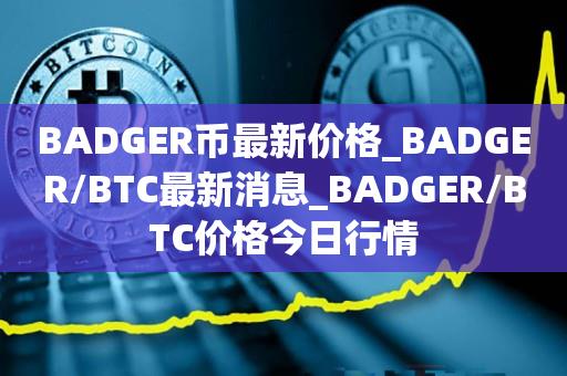 BADGER币最新价格_BADGER／BTC最新消息_BADGER／BTC价格今日行情-第1张图片-昕阳网