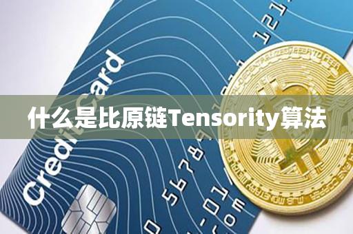 什么是比原链Tensority算法-第1张图片-昕阳网