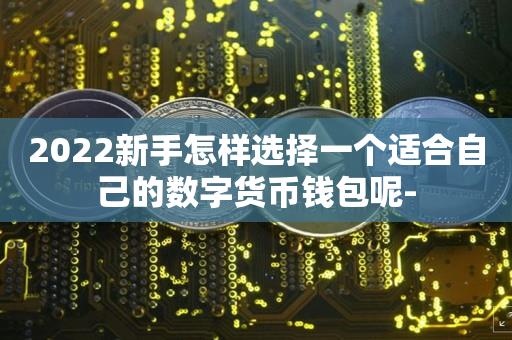 2022新手怎样选择一个适合自己的数字货币钱包呢--第1张图片-昕阳网