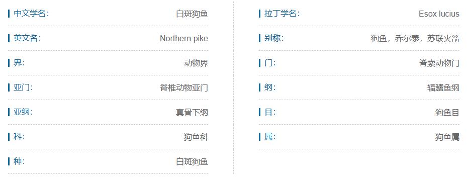 冷水鱼大全品种（冷leng水鱼大全品种 观赏鱼）-第84张图片-悠嘻资讯网