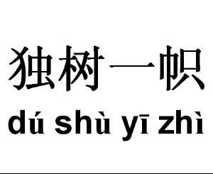 不可计数的意思（应接不暇的意思）-第18张图片-昕阳网