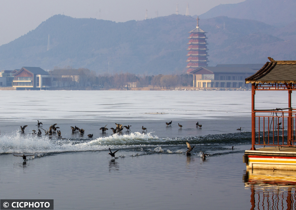 又什么又什么的（又什么又什么的太阳）-第6张图片-昕阳网